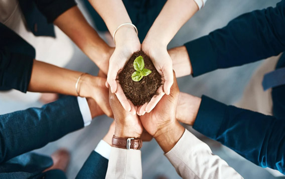 常州宝农新材料科技有限公司